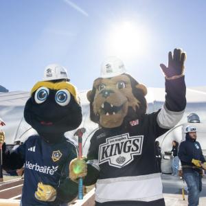 LA Kings' mascot Bailey joined the LA Galaxy's mascot Cozmo to lend a helping hand.