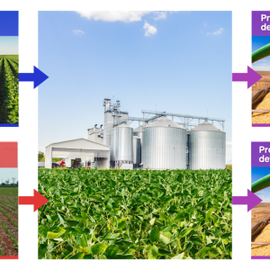 Figure on Sub-farm compliance assessment presents the risk that products may be called deforestation-free even if they are produced on farms with ongoing deforestation or recent deforestation after a cutoff date, such as 2020. This includes the typical case (shown here) where products from different farm plots are mixed and sold in aggregate to commodity buyers.