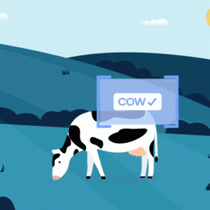 Basic digital images of a cow in a field being recognized as a "cow" and the same cow on a beach not being recognized.