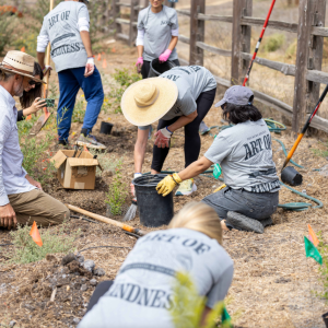 Deckers employee volunteer group planting 