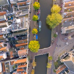 Aerial View of a city