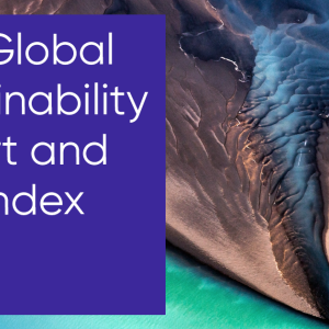 2021 Global Sustainability Report and ESG Index