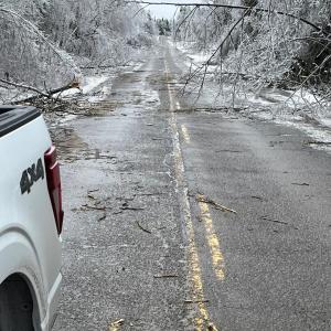 Downed trees in road from ice storm