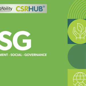 AccountAbility and CSRHub ESG Banner Image