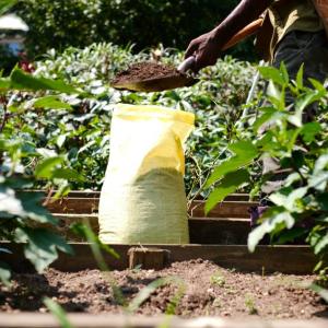 bag of compost in a garden