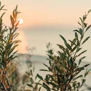 Lake Michigan in Indiana