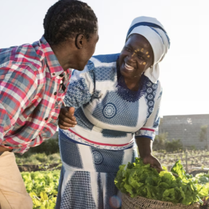 African farmers in the field