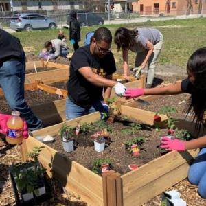 group of teens planting in a garden
