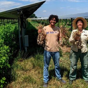Jack's Solar Garden in Colorado