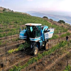 Tractor in field