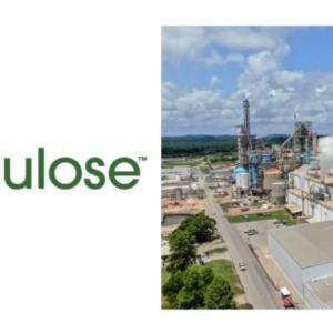 GP Cellulose logo and photo of the outside of Alabama River Cellulose Mill