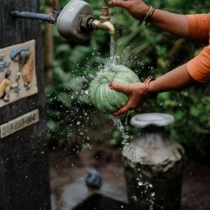 A woman uses a water well to wash a vegetable in Nepal