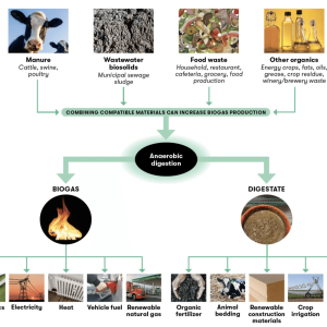 Anaerobic digestion infographic