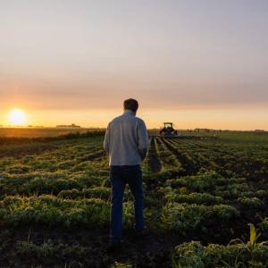 Andrew Barsness, farmer