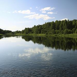 Landscape of a river flowing by green trees