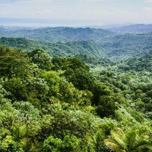 Aerial view of the amazon rainforest
