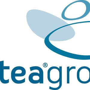 antea group logo