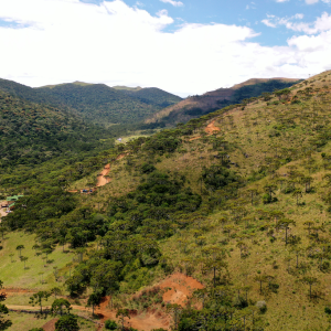 photo of Atlantic Forest