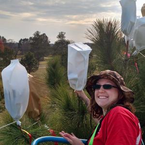 April Meeks in a tree-top