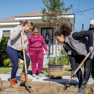 Two decades after Hurricane Katrina, the effort to replant a lost tree canopy still continues. The Arbor Day Foundation’s most recent planting in February brought dozens of new trees to New Orleans’ Lower Ninth Ward neighborhood.