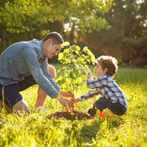 An adult and child knelt down planting a tree 