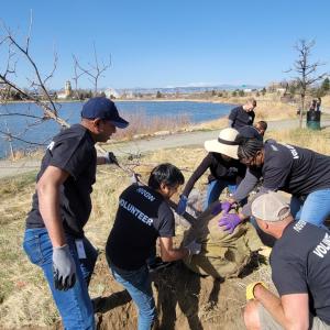 Arrow employees working together while planting trees on Earth Day 