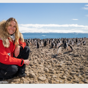 Ashlan at Paulette Island Adelie Penguin Rookery