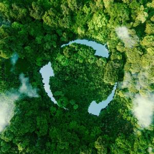 Recycling symbol shown in a forest.