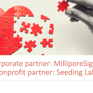 puzzle pieces in the shape of a heart