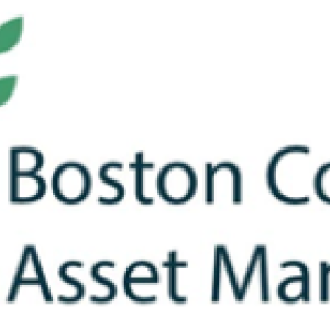 BCAM logo