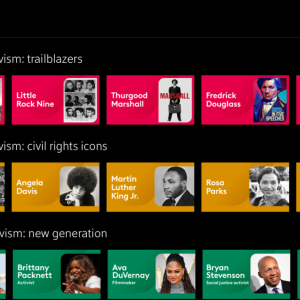Three rows of different icons for shows, profiles of icons past and present. "Evolution of activism."