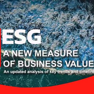 ESG A New Measure of Business Value with the BSI logo