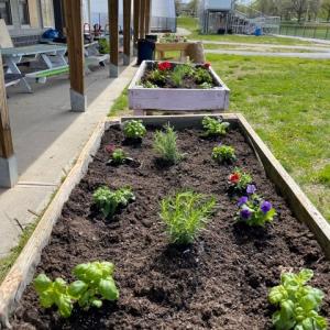 raised garden beds along the side of a building