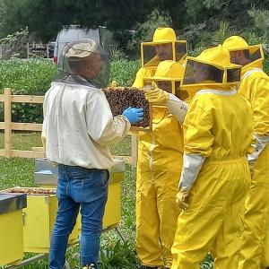 Group of people wearing beekeeping suits while stood around bee hives