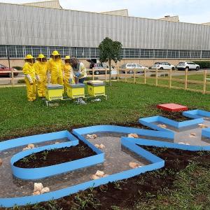 A group of people wearing beekeeping suits, stood behind some bee hives.