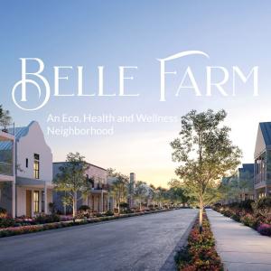Belle Farm - main street rendering
