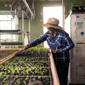 Big Water Summer: Cherilyn shown working with her crops.