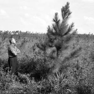 Bill Miller looking at a tree
