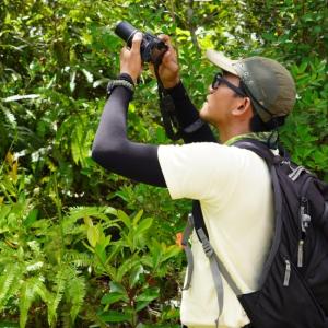 A person in heavy foliage taking a photograph