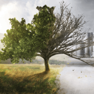 Image showing green field transitioning to dark, bleak city.