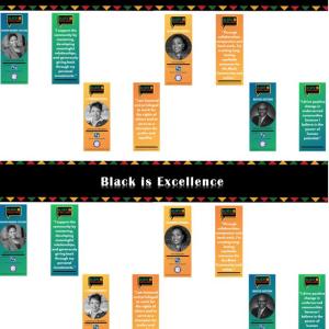 Black is Excellence infographic
