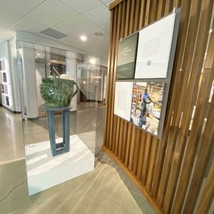 Sculpture under a display case in a gallery.