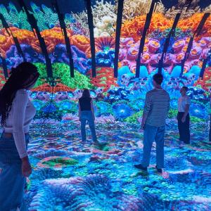 people standing in an art display