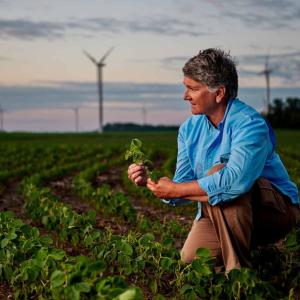 Man kneeling in soybean field.