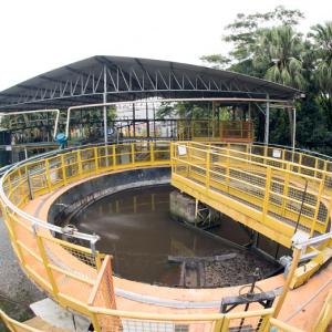 yellow walkway around a large open tank of water. Trees in the background.