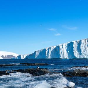 Brown Bluff Glacier with Penguins