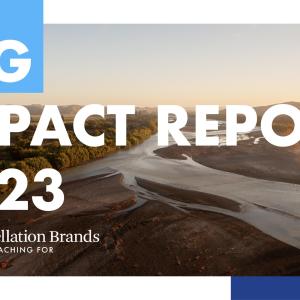 Cover for Constellations ESG Impact Report 2023