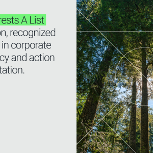CDP A-list for Sappi North America