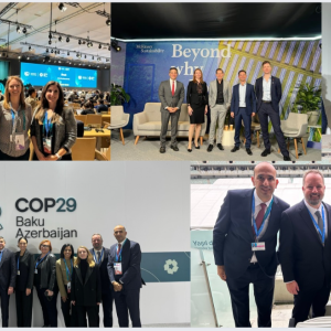 A collage of photos from COP29
