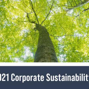 2021 Corporate Sustainability Report Cover with image looking up through a tree